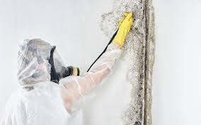 Best Residential Mold Inspection & Testing  in Fox Lake, WI